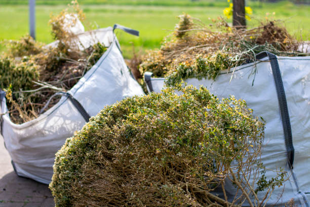 Best Carpet Removal and Disposal  in St George, SC