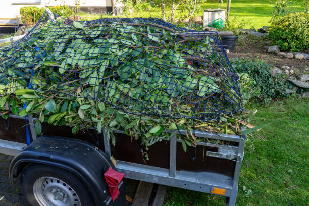 Best Same-Day Junk Removal Services  in St George, SC
